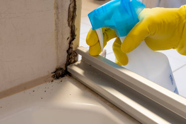 Best Crawl Space Mold Removal  in Lisbon, IA