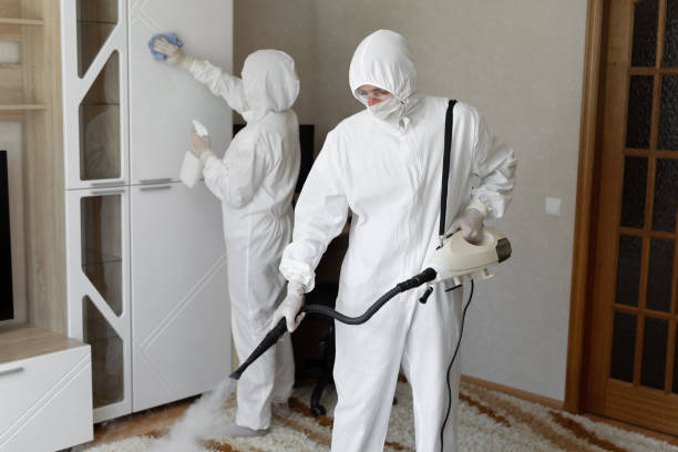 Best Office Mold Removal Services  in Lisbon, IA
